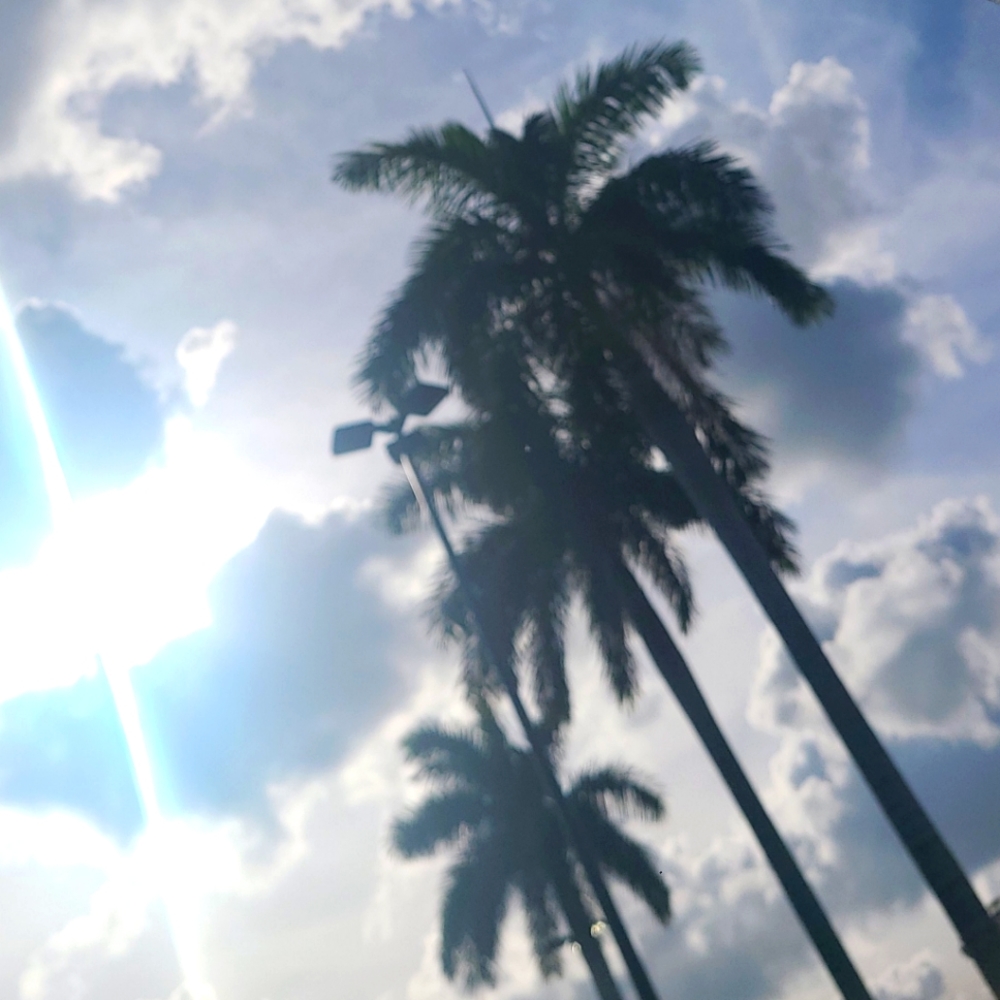 Meet your Posher, Latonya